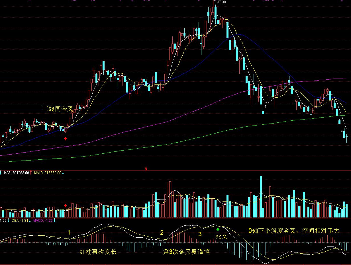 超强演出阵容公布!广州超级草莓音乐节定档南沙