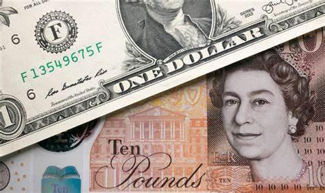 快讯丨2024年度县(市、区)党委书记和市直有关工委(党委、党组)书记抓基层党建工作述职评议会召开